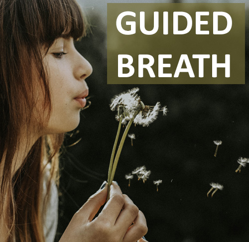 Guided Breathing is a powerful way to calm, center & focus ourselves fast.