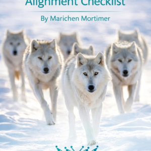 Communication Alignment Checklist