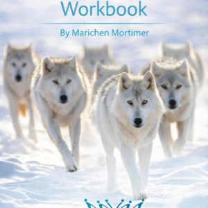 Leader Feedback Workbook