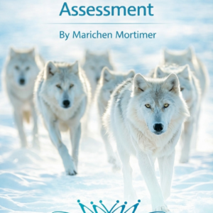 Team Dynamics Assessment