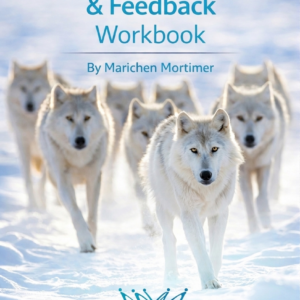 Team Dynamics & Feedback Workbook