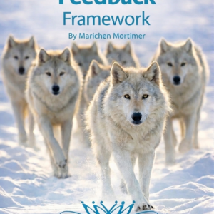 Three_Step_Feedback_Framework