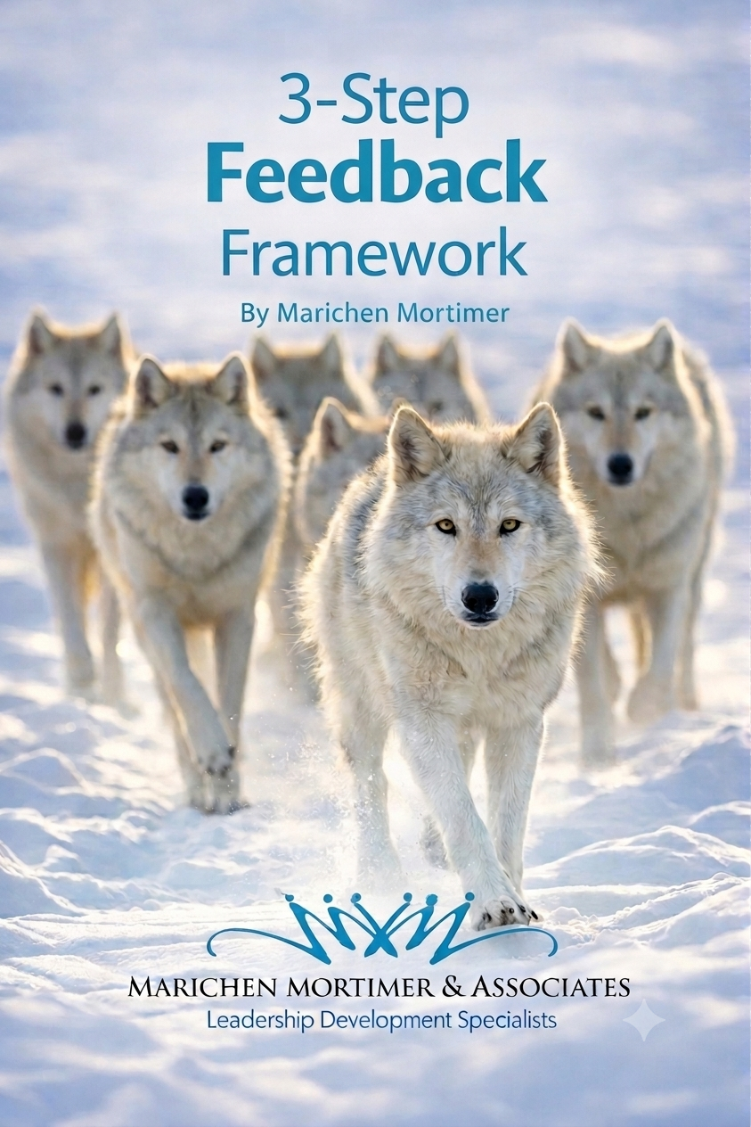 Three_Step_Feedback_Framework